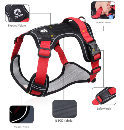 Blue XL Adjustable No-Pull Dog Harness and Leash Set - Reflective & Padded Vest for Medium to Large Dogs