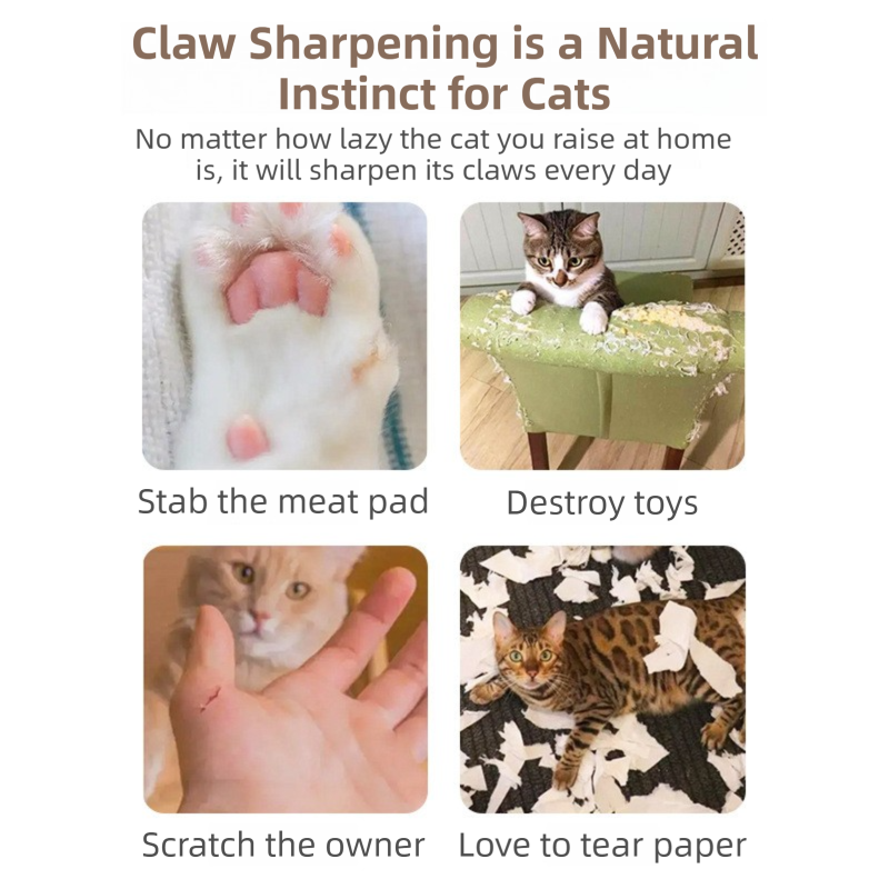 2-Pack Creative Accordion Cat Scratcher (Cat Head Design, 23x23x10CM) - Reversible Honeycomb Material Scratch Pad & Lounge Mat for Stress Relief