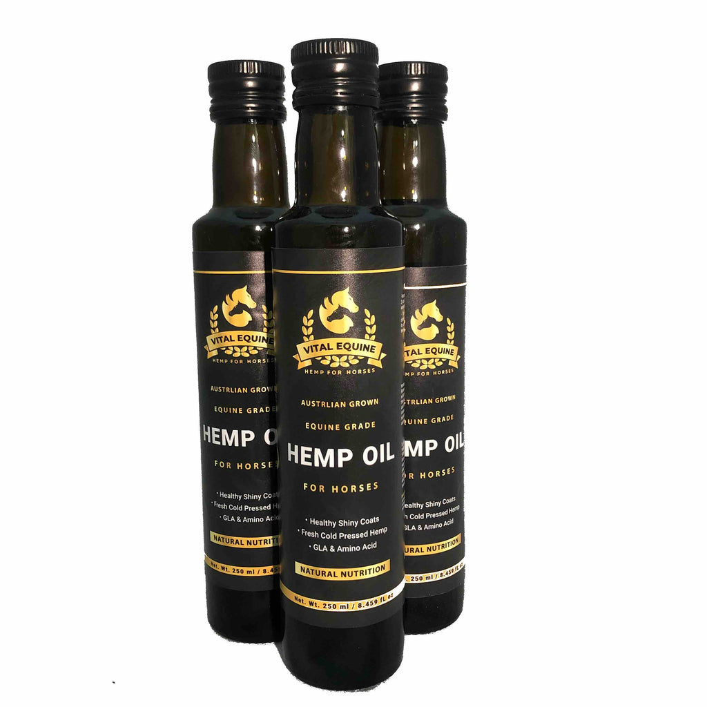 Premium Australian Equine Hemp Oil | Natural Nutritional Support | Balanced Omegas | 1L