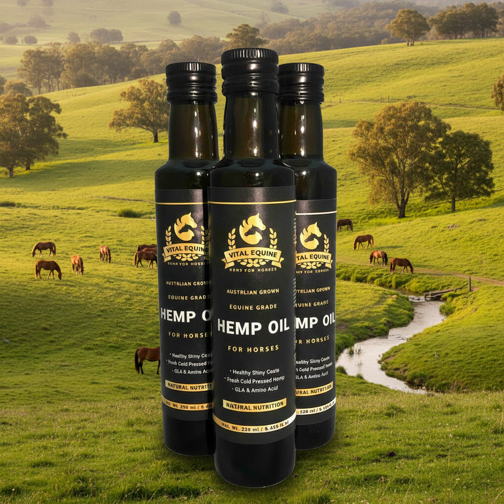 Three bottles of Royal Equine Hemp Oil for Horses on a white background